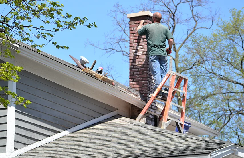 Chimney & Fireplace Inspections Services in Forest Lake, MN